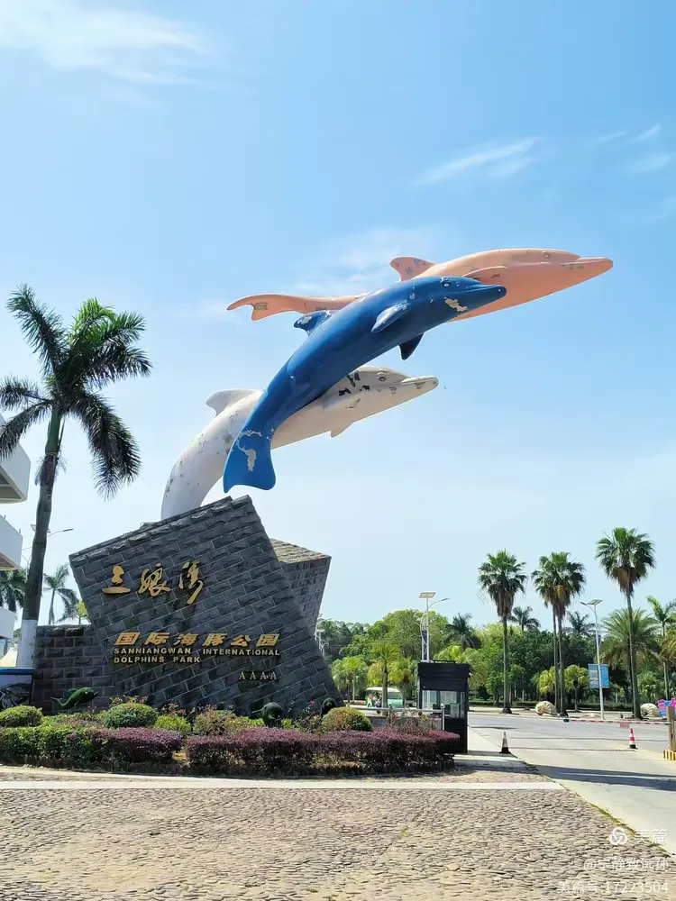 在广西钦州三娘湾看中华白海豚